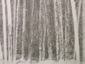 Untitled (thumbnail)