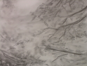 Untitled (thumbnail)