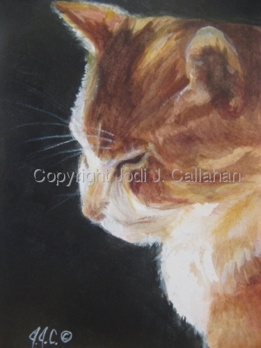 Painting-Animals-Portrait of a Cat