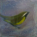  Yellow Bird