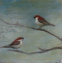 Russet Sparrows