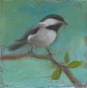 Chickadee Perched