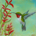 Hummingbird