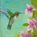 Hummingbird 4