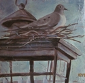 Dove On Lantern