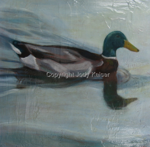 Duck On The Water
