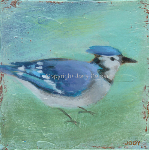 Blue Jay 4