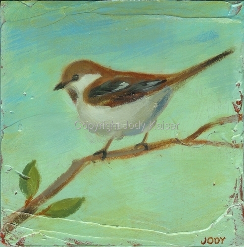 Sparrow Over the Shoulder
