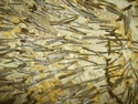 My Honorary Vagina (detail)