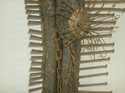 Wound (detail)