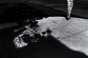 globe%20walker (thumbnail)