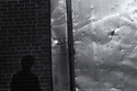 reflection (thumbnail)