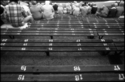 spectators (thumbnail)