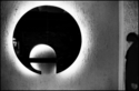 the%20light (thumbnail)