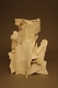 Sculpture--Ceramic-AbstractWhite on White Motion Study