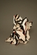 Sculpture--Ceramic-AbstractSerengeti