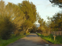 Digital Art--Fine ArtBack Road