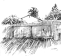 Drawing--Ink-ArchitectureBackyard