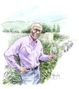 Illustration-Tor Kenward (Winemaker) St. Helena, CA