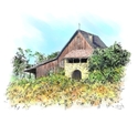 Illustration-Hanzell Winery