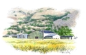 Illustration-Kapcsandy Family Winery, Napa Valley