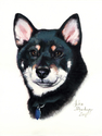 Painting--Oil-ImpressionismDog Portrait