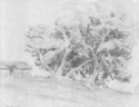 Drawing--Ink-ArchitectureNear Bodega
