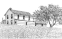 Drawing--Ink-LandscapeNear Bodega