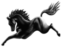 Digital Art--Drawing-AnimalsArrow Creek Icon
