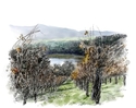 Howell Mountain Vintners & Growers