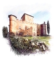 Illustration-Paneretta Winery, Italy