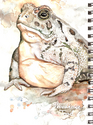 Drawing--Paper-AnimalsWoodhouse Toad