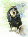 Painting--Watercolor-AnimalsHolly
