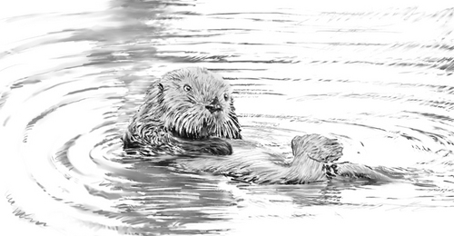 Illustration-Sketch 4 for wine label