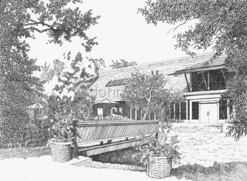 Illustration-Finished Illustration
