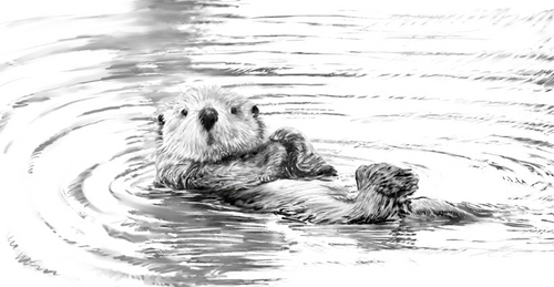 Illustration-Sketch 3 for wine label