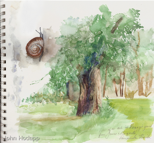 Painting-Landscape-Pensacola Oak with N.C. Snail