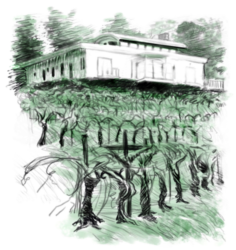 Illustration-Diamond Winery