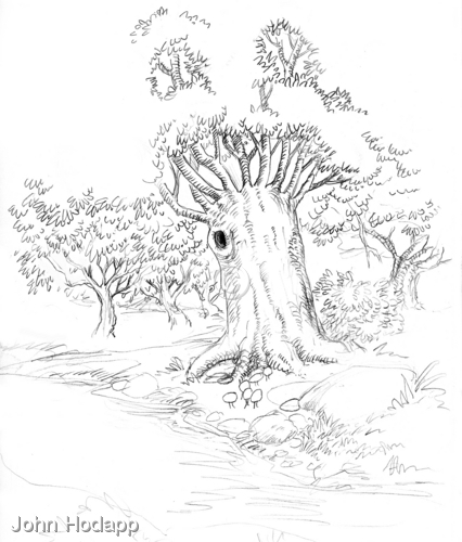 Drawing-Landscape-Style development sketch for children's book
