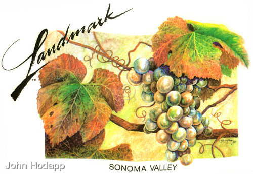 Painting-Botanical-Landmark Vineyards Tee-shirt
