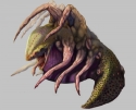 Charybdis