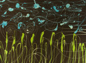 Field (thumbnail)