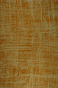 Fibrous Fibrous (thumbnail)