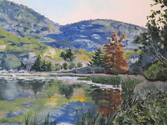 Roadside%20Pond%20-%20Acadia%20National%20Park (thumbnail)