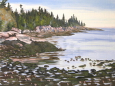 Otter%20Cove%20-%20Acadia%20National%20Park (thumbnail)
