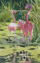 In%20the%20pink (thumbnail)