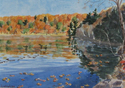 Lac%20aux%20boulots%2C%20Parc%20St.%20Bruno%20%28birch%20lake%29 (thumbnail)