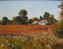 Morning%20sunlight%20on%20Route%2015 (thumbnail)
