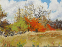October%20Sky%20on%20Lake%20Rd. (thumbnail)