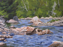 A%20Good%20Pool%20on%20the%20Ausable%20River (thumbnail)